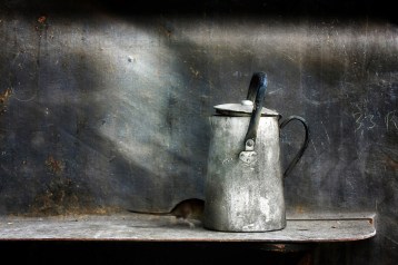 HOLGER DROSTE 63917-F