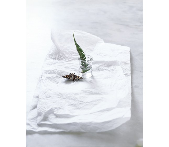 rita _maas_silent_07_03_4