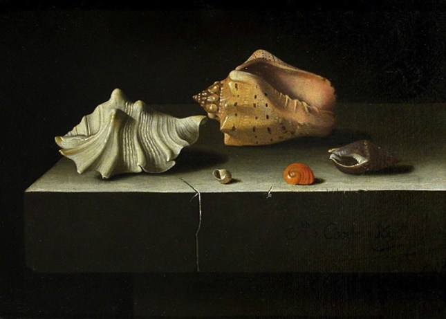 Adriaen Coorte Coorte-Coquillages-Louvre2