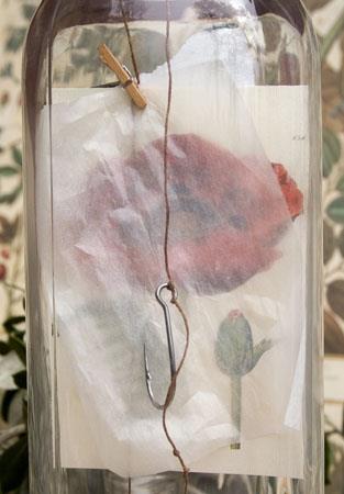 anoiksi 536326_3750717045794_512909162_n