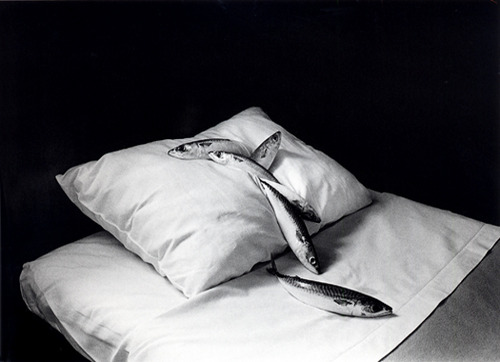 Michiko Kon tumblr_m8ntync5Xl1qboh2io1_500