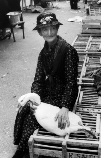 FRANCE, CAHORS, 1959, LA FEMME A L OIE