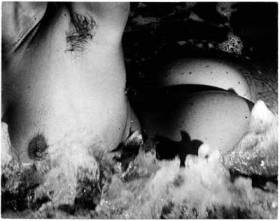 lucien clergue2