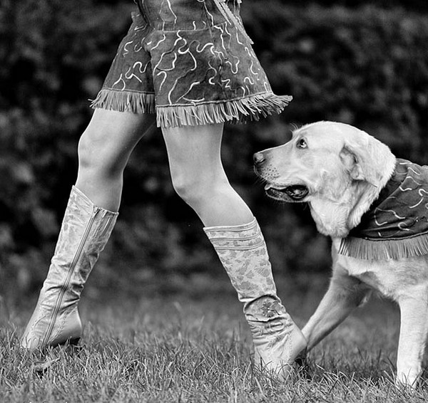 Φωτογραφία: DOGS