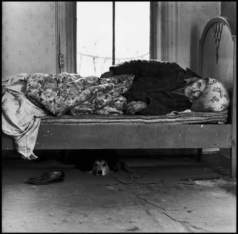 dogs Bruce DavidsonBD01