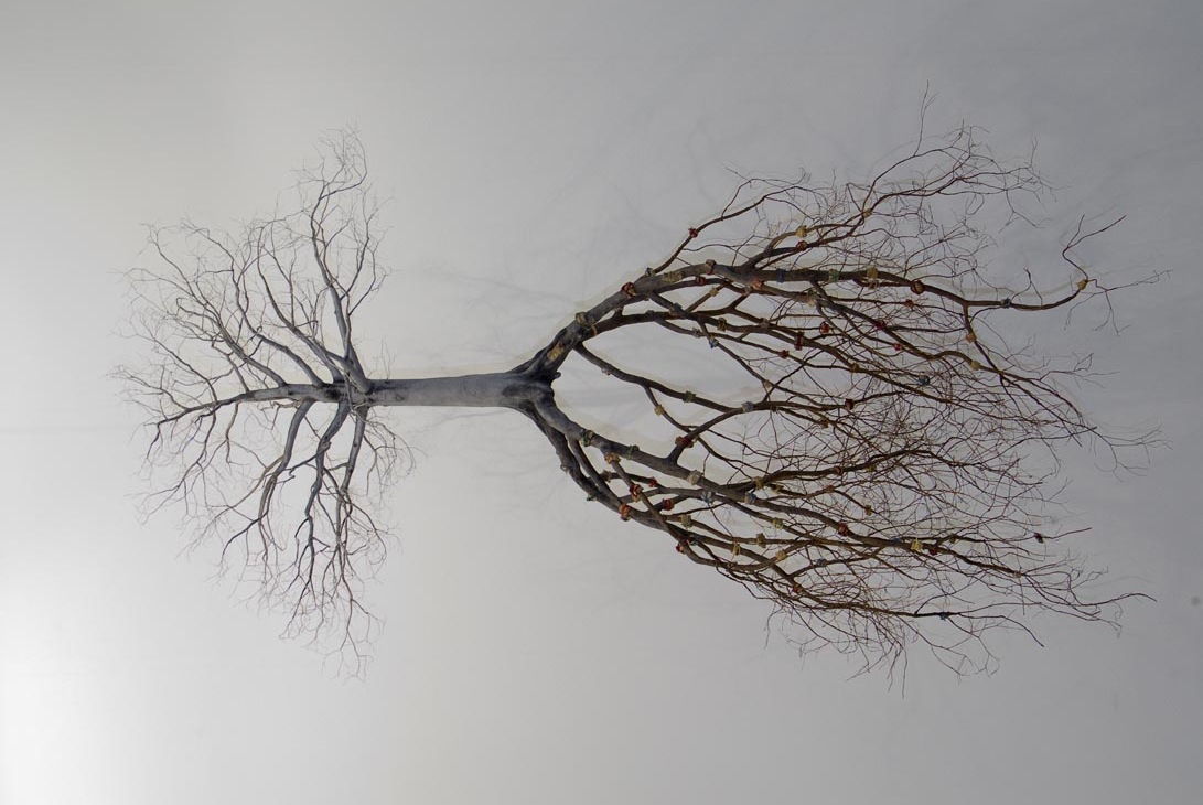 Στέργιος Ντέρτσας, Μυρωδιά πεύκου (e-περιοδικό Θράκα)