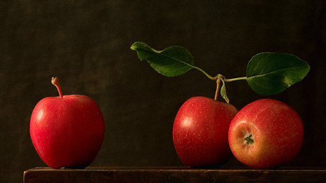 Έφη Γιαννοπούλου, Θεόφιλος Τραμπούλης: Οι συγγραφείς ως οργανικοί διανοούμενοι: H ανάδειξη μιας λογοτεχνικής «φουρνιάς» (2o μέρος)