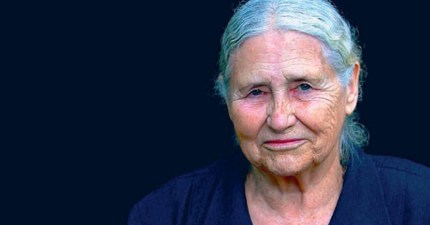 Nτόρις Λέσινγκ, Το πέμπτο παιδί