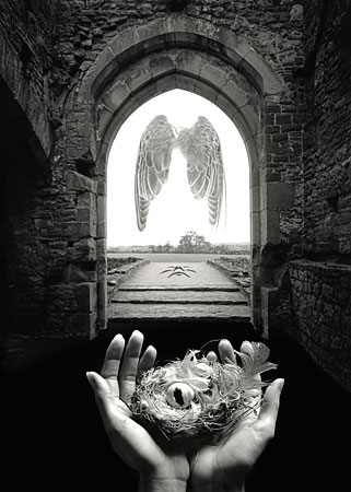 Nίκος Καχτίτσης, Ο εξώστης