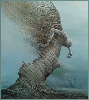 Tomasz Alen Koperaj12